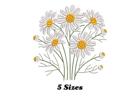 Charming Daisy Flowers