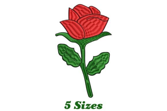 Delicate Rose: A Review for Real Projects