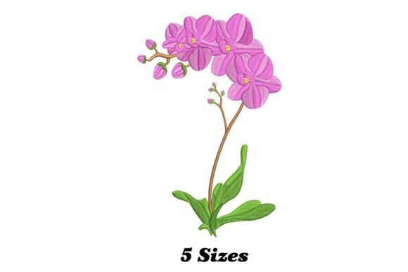 Lovely Orchid Flower Embroidery Design